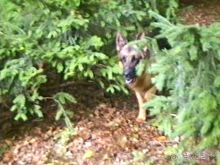 А вот и Берлин!