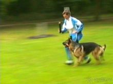 А вот и Берлин!