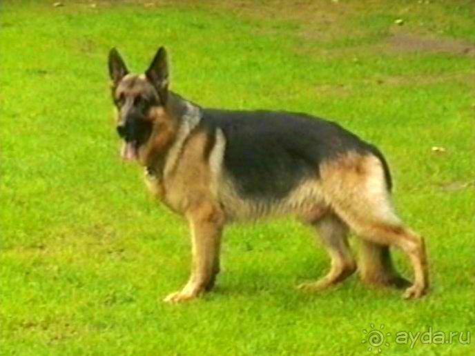 А вот и Берлин!