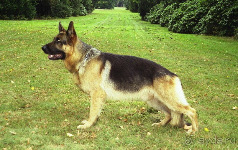 А вот и Берлин!