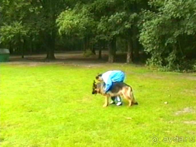 А вот и Берлин!