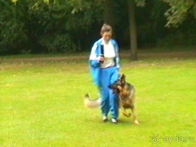 А вот и Берлин!