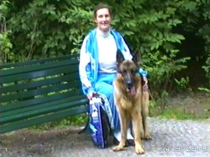 А вот и Берлин!