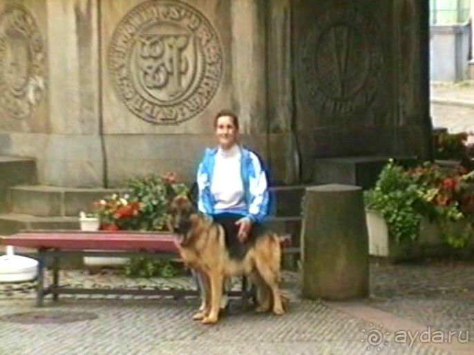 А вот и Берлин!