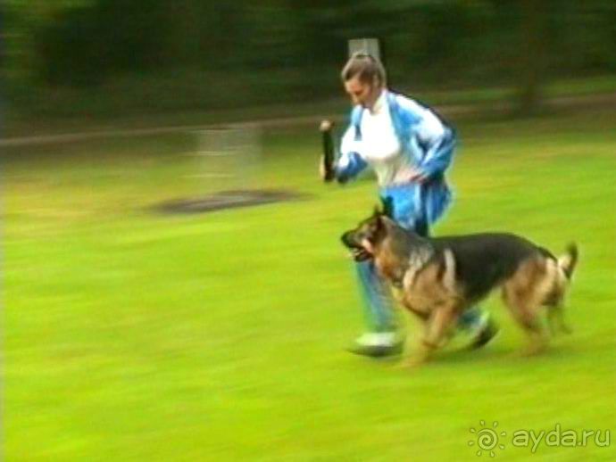 А вот и Берлин!