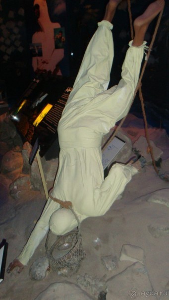 Эмираты в декабре: часть 5 - Дубай