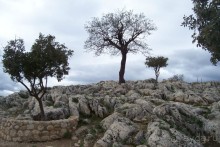 Греция часть 8: Микены — мистификация Шлимана