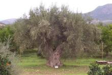 Греция часть 8: Микены — мистификация Шлимана