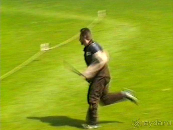 Впервые на машине в Германию с овчаркой: Наш дебют на Зигере в Карлсруэ