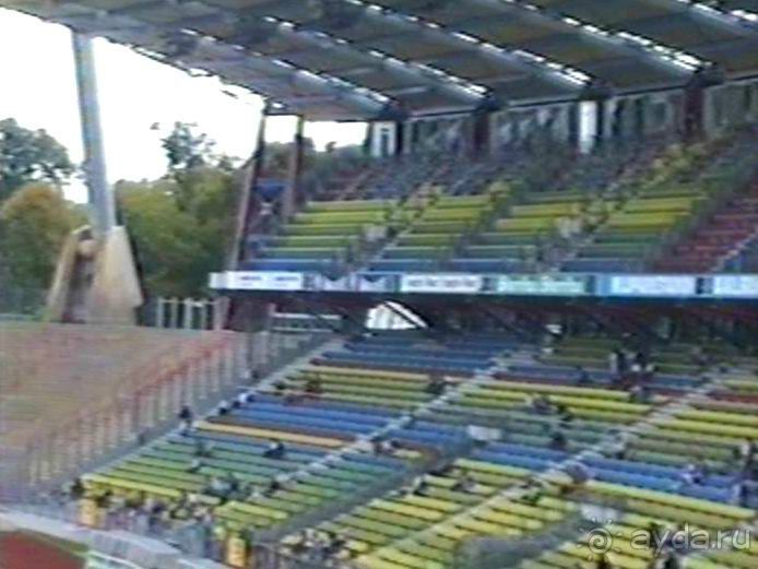 Впервые на машине в Германию с овчаркой: Наш дебют на Зигере в Карлсруэ