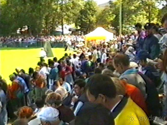 Впервые на машине в Германию с овчаркой: Наш дебют на Зигере в Карлсруэ