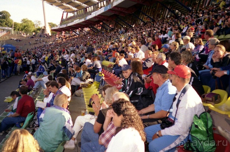 Впервые на машине в Германию с овчаркой: Наш дебют на Зигере в Карлсруэ