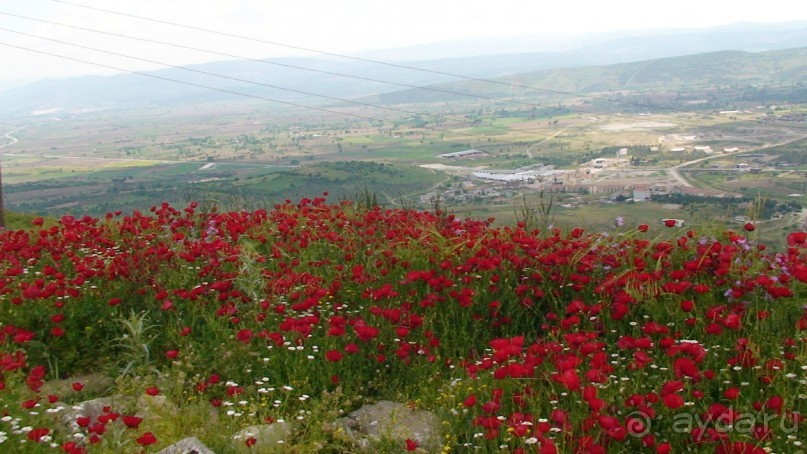 Альбом отзыва "По следам Древних Цивилизаций в Турции: Бергама"