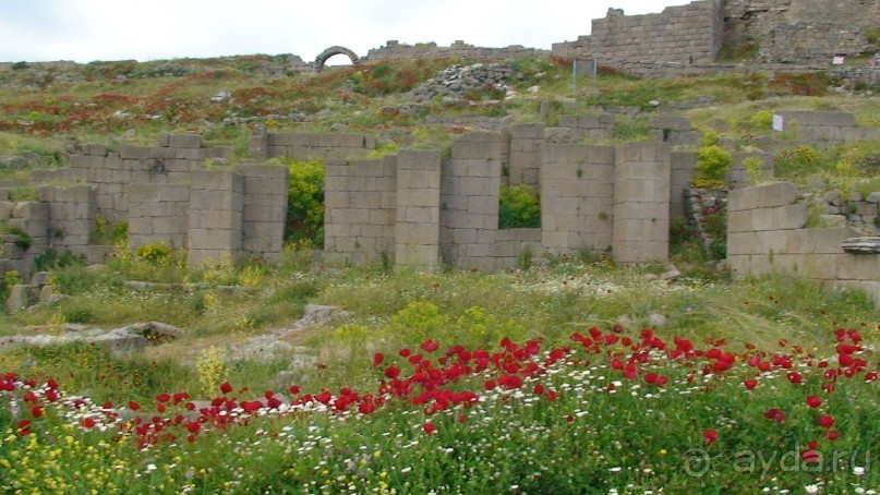 Альбом отзыва "По следам Древних Цивилизаций в Турции: Бергама"