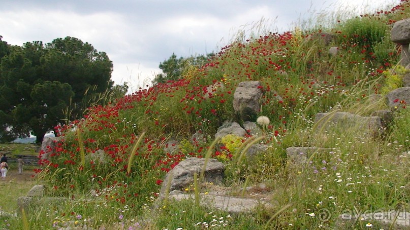 Альбом отзыва "По следам Древних Цивилизаций в Турции: Бергама"
