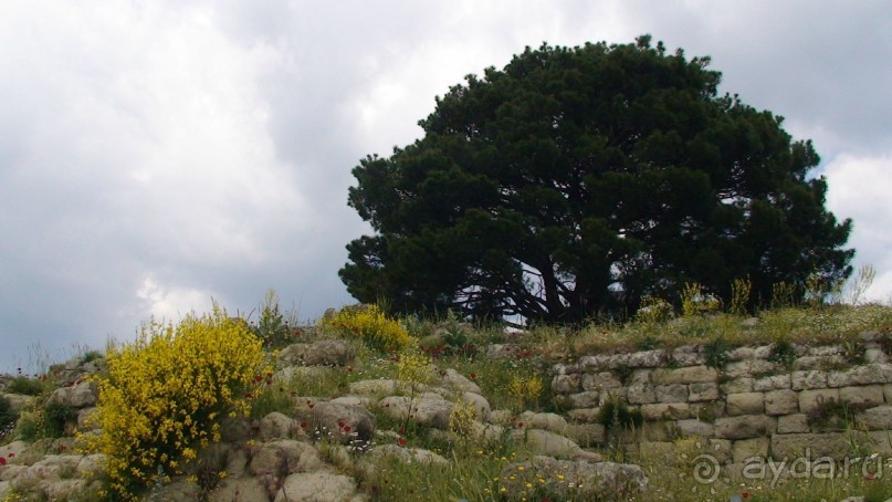 По следам Древних Цивилизаций в Турции: Бергама