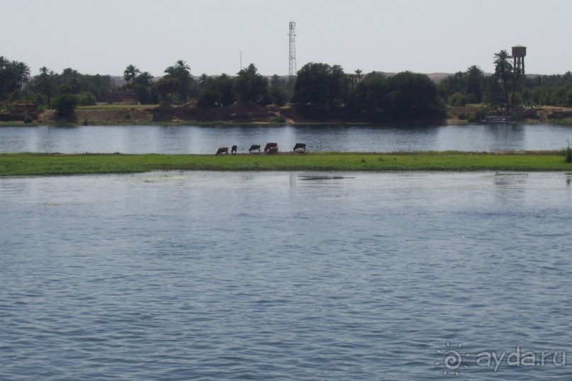 Египет часть 6: Продолжение круиза по Нилу и Ком-Омбо