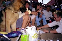 Впервые на машине в Германию с овчаркой: Арчер-семидесятый молодой кобель мира