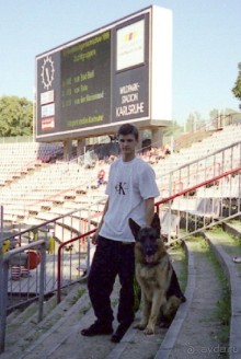 Впервые на машине в Германию с овчаркой: Арчер-семидесятый молодой кобель мира
