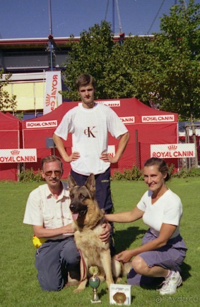 Впервые на машине в Германию с овчаркой: Арчер-семидесятый молодой кобель мира