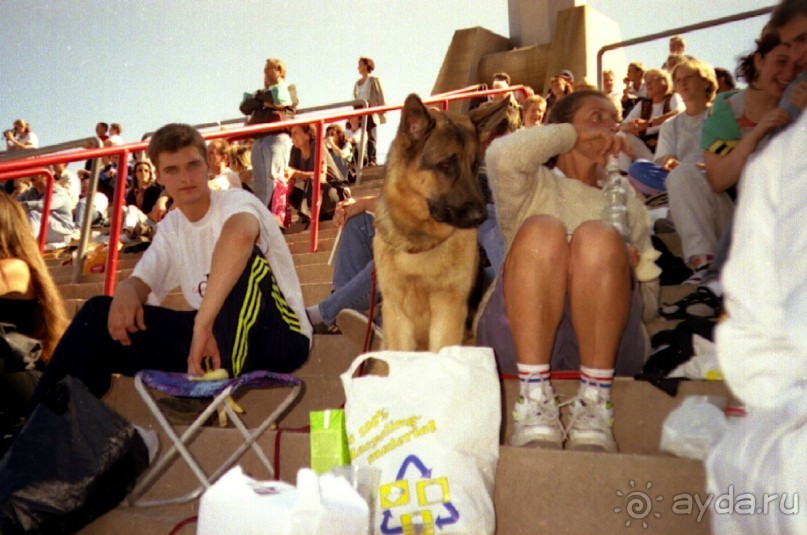 Впервые на машине в Германию с овчаркой: Арчер-семидесятый молодой кобель мира
