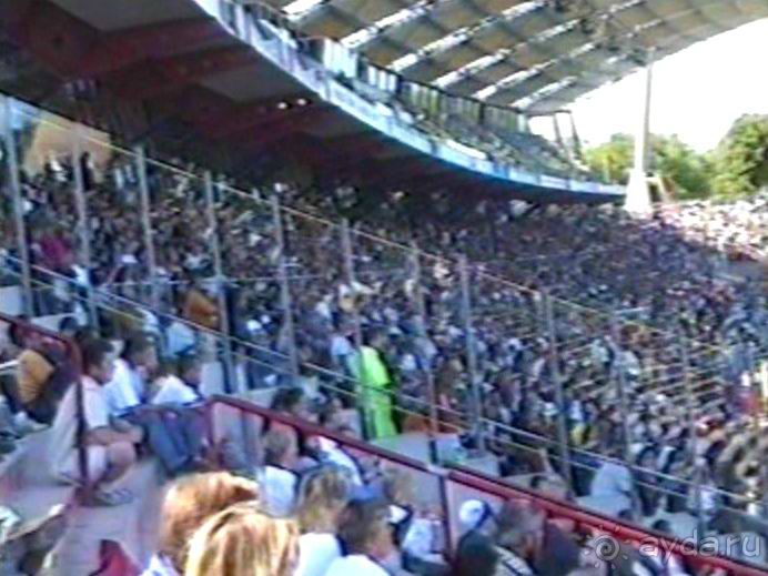 Впервые на машине в Германию с овчаркой: Арчер-семидесятый молодой кобель мира