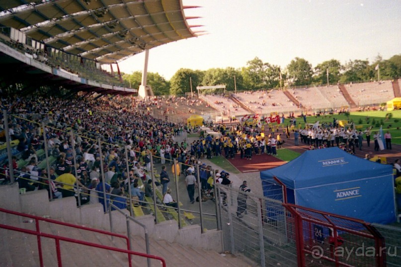 Впервые на машине в Германию с овчаркой: Арчер-семидесятый молодой кобель мира