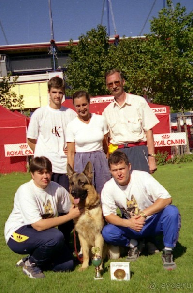 Впервые на машине в Германию с овчаркой: Арчер-семидесятый молодой кобель мира