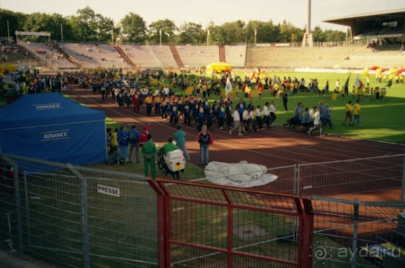 Впервые на машине в Германию с овчаркой: Арчер-семидесятый молодой кобель мира