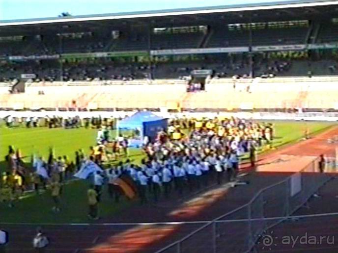 Впервые на машине в Германию с овчаркой: Арчер-семидесятый молодой кобель мира