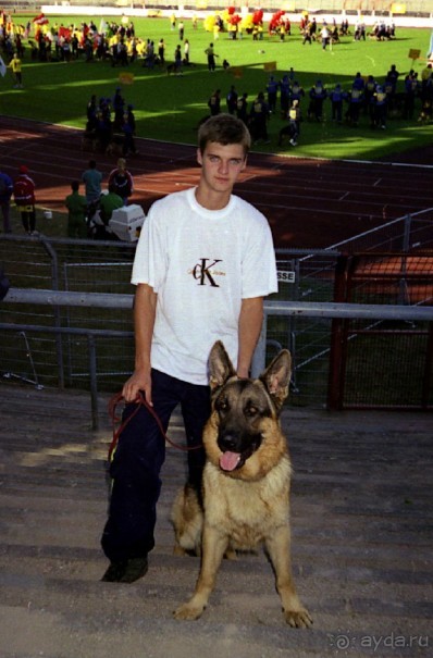 Впервые на машине в Германию с овчаркой: Арчер-семидесятый молодой кобель мира