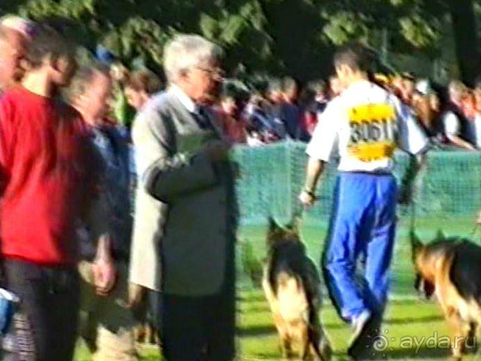 Впервые на машине в Германию с овчаркой: Арчер-семидесятый молодой кобель мира