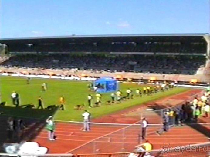 Впервые на машине в Германию с овчаркой: Арчер-семидесятый молодой кобель мира