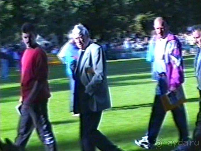 Впервые на машине в Германию с овчаркой: Арчер-семидесятый молодой кобель мира