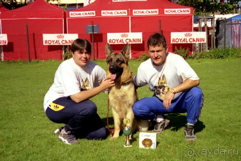 Впервые на машине в Германию с овчаркой: Арчер-семидесятый молодой кобель мира