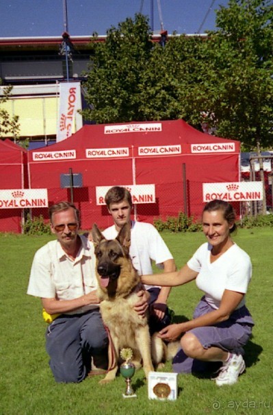 Впервые на машине в Германию с овчаркой: Арчер-семидесятый молодой кобель мира
