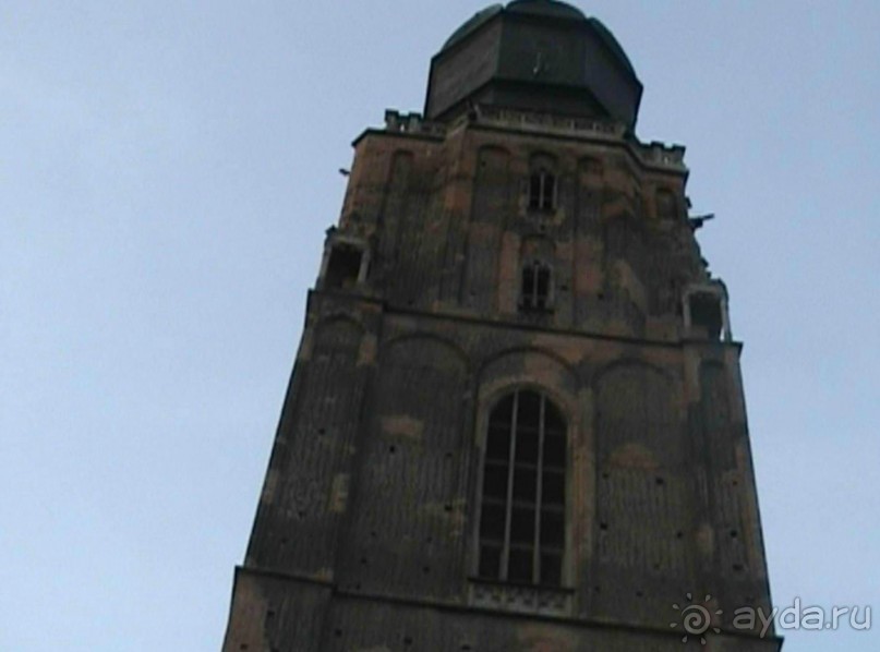 По Белоруссии и Польше на пути в Великобританию