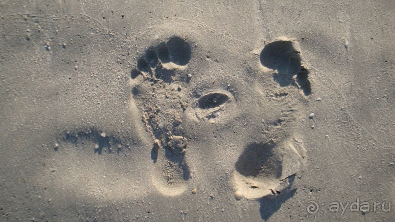 Шарджа Гранд Отель - прекрасное место для пляжного отдыха