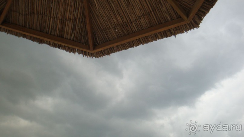 Шарджа Гранд Отель - прекрасное место для пляжного отдыха