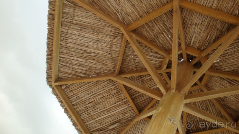 Шарджа Гранд Отель - прекрасное место для пляжного отдыха