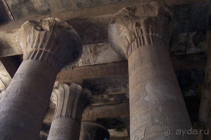 Альбом отзыва "Египет часть 5: Начало круиза по Нилу и Эдфу"