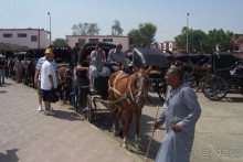 Египет часть 5: Начало круиза по Нилу и Эдфу