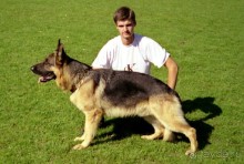 Впервые на машине в Германию с овчаркой: Стадион в Карлсруэ на Зигере