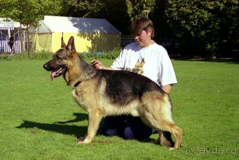 Впервые на машине в Германию с овчаркой: Стадион в Карлсруэ на Зигере