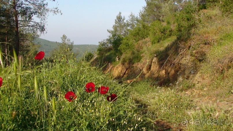 По следам Древних Цивилизаций в Турции: Кушадасы и Сельчук