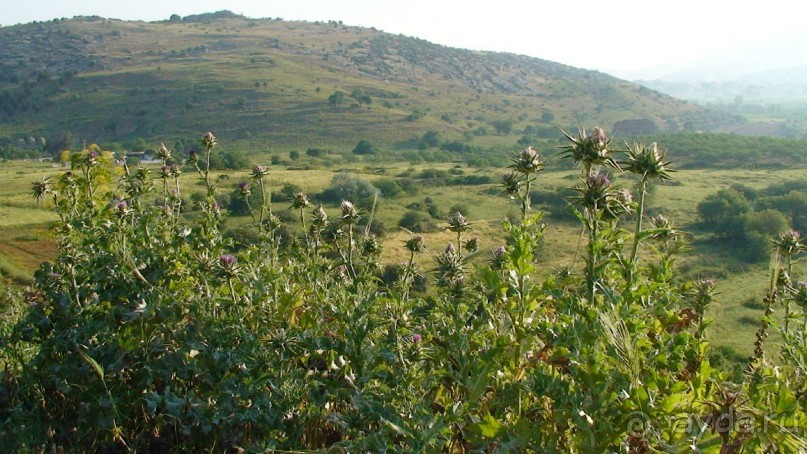 По следам Древних Цивилизаций в Турции: Кушадасы и Сельчук