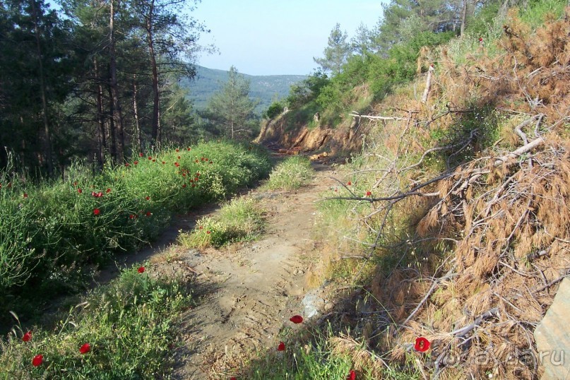 По следам Древних Цивилизаций в Турции: Кушадасы и Сельчук