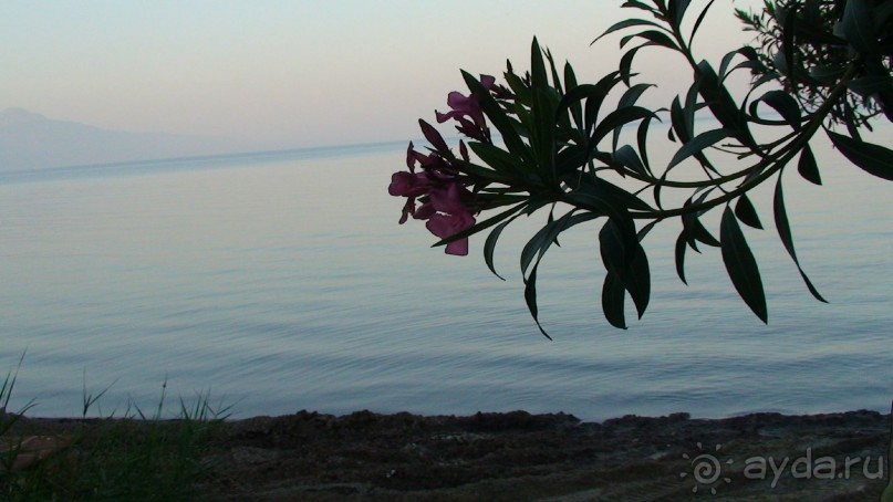 По следам Древних Цивилизаций в Турции: Кушадасы и Сельчук