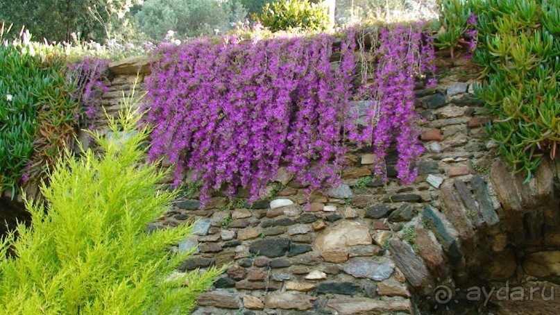 По следам Древних Цивилизаций в Турции: Кушадасы и Сельчук