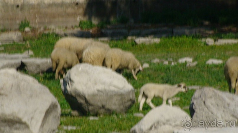 По следам Древних Цивилизаций в Турции: Кушадасы и Сельчук
